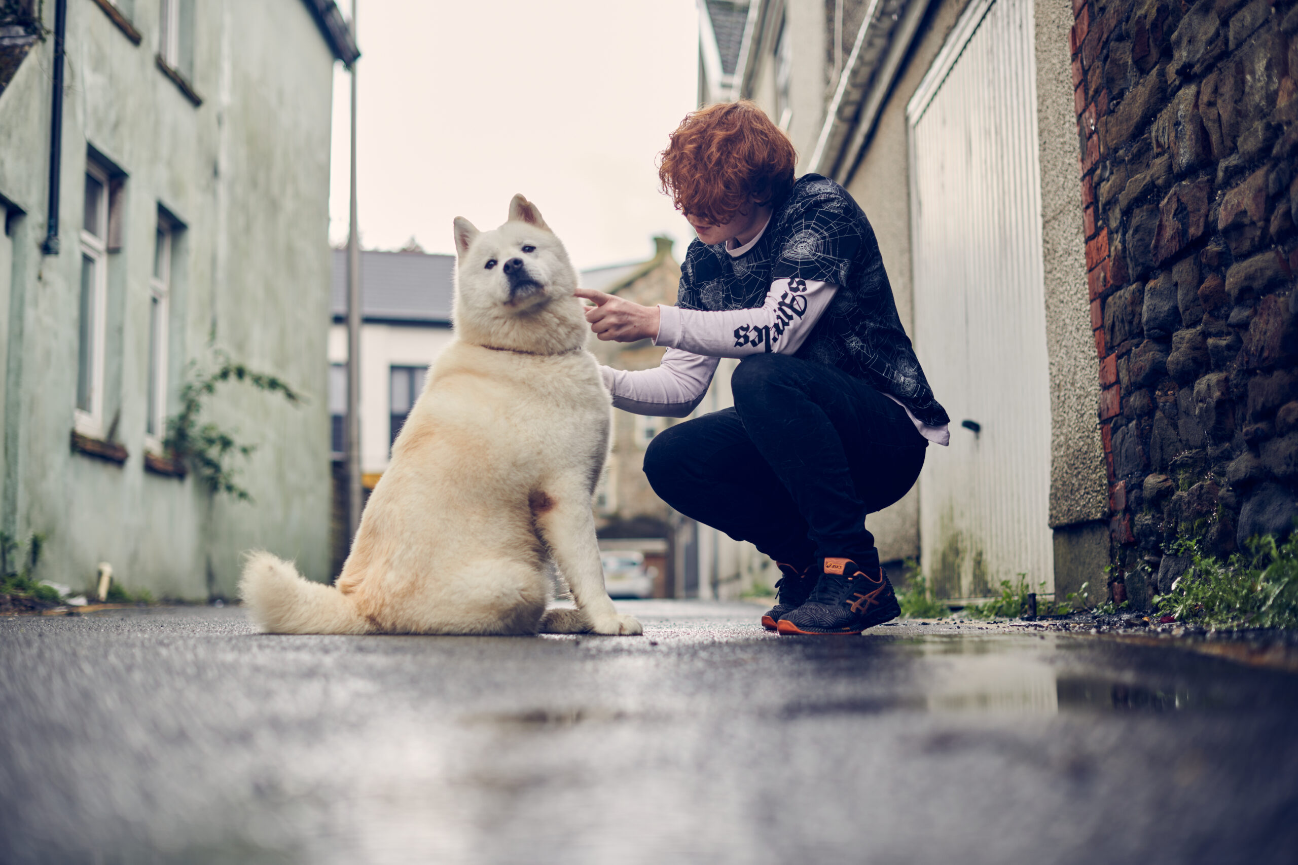 young boy with his dog on street