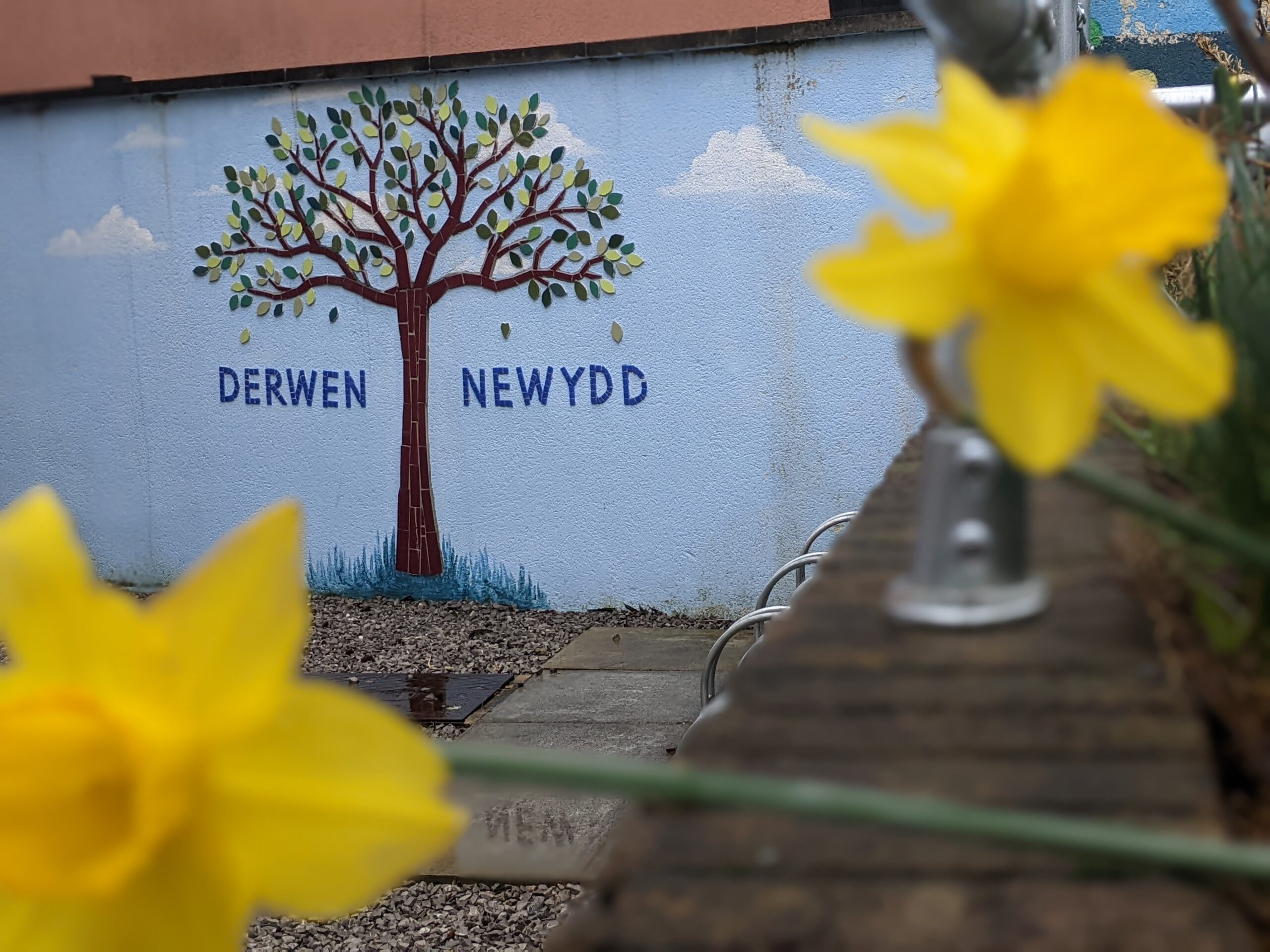 Derwen Newydd