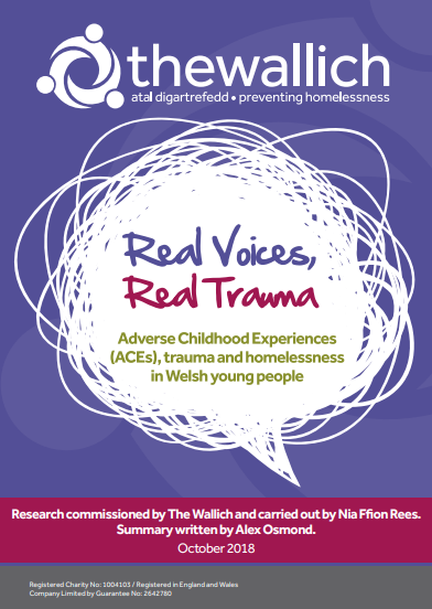 Real Voices, Real Trauma - Youth Homelessness ACEs Report 2018 - The Wallich - Swansea Council