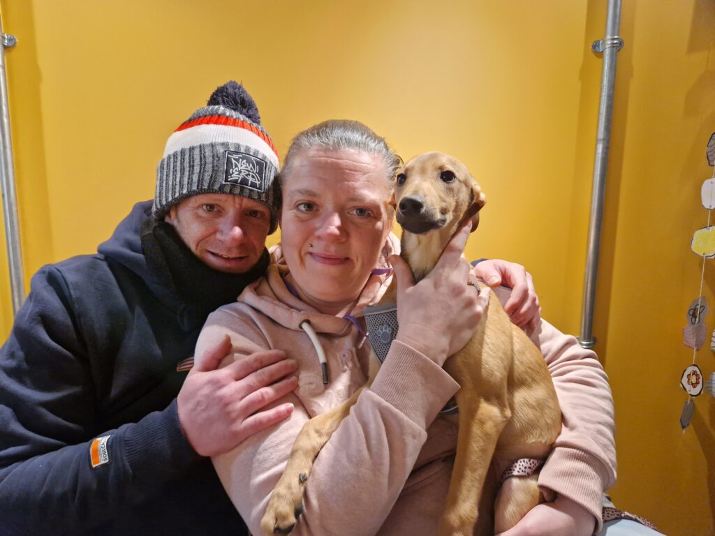 The Wallich is a dog-friendly homeless charity - Newport residents