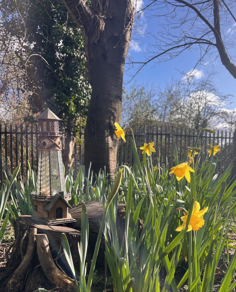 A garden with a tree and fence in the background, daffodils at the front and a glass lighthouse ornament